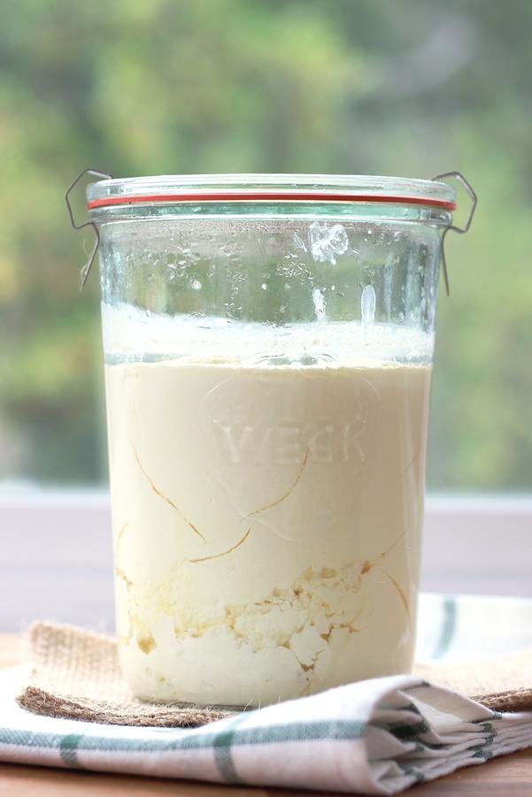 Milk Kefir Recipe (Thick and Creamy)